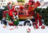 5812-Christmas Presents and Dog in Red Wagon on Snow