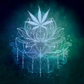 Spiritual Cannabis (variant 1)