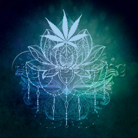Spiritual Cannabis variant 1