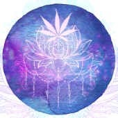 Spiritual Cannabis (variant 4)