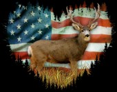 USA Buck (variant 1)