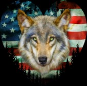 USA Wolf (variant 1)