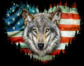 USA Wolf (variant 2)