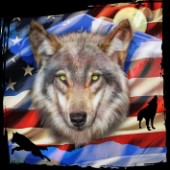 USA Wolf