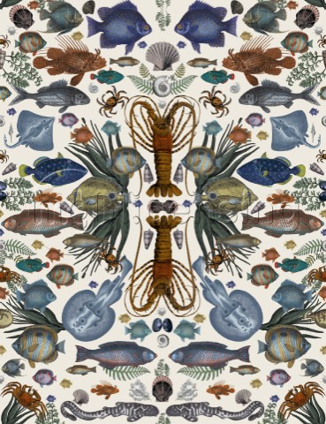 Crustacean Pattern