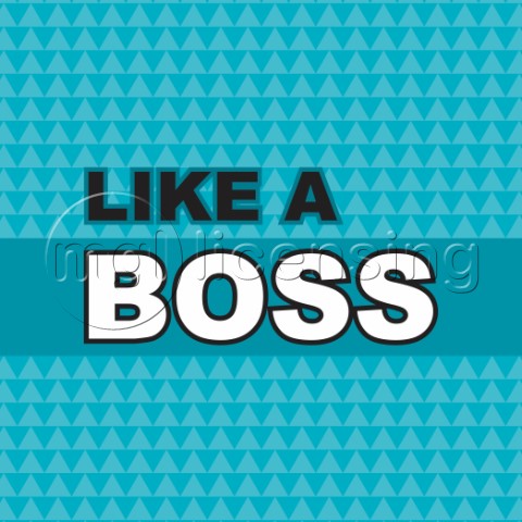 Like A Boss