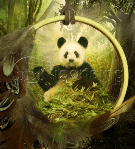 Panda And Dream Catcher