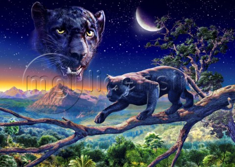 Twilight panther