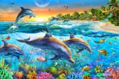 Dolphin bay