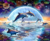 Dolphins by Moonlight
