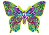 Paisley Butterfly (Variant 2)