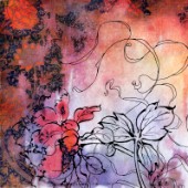Sketchflowers Calendula