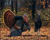 Turkeys (NPI 417)