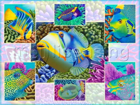 Multipic  Fish Characters