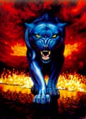 Fire panther