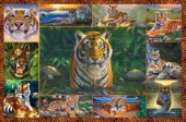 Tiger multipic landscape