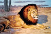 Single lion (NPI 0141)