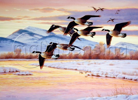 Sunrise geese in flight NPI 0142