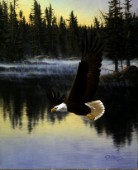 Land of the free eagle (NPI 2121)
