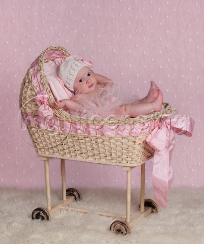 Baby Ballerina in Basket