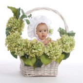Baby in Flower Basket MF 5597