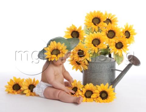 Sunflower Baby MF 5602