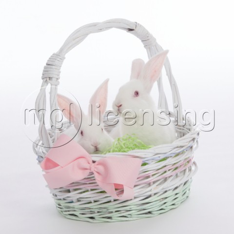 Bunnies in Basket