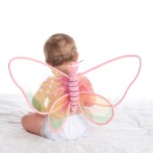 Baby Fairy Wings.jpg
