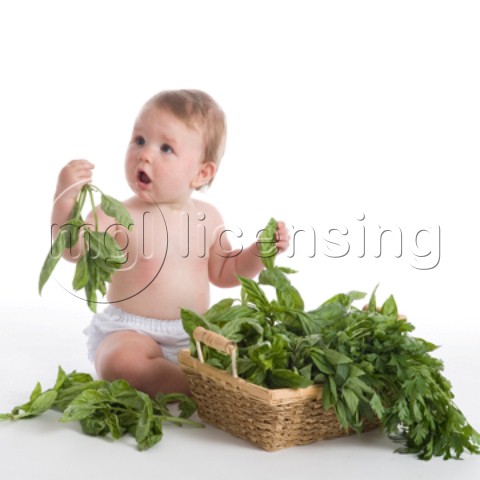 Baby Among Leavesjpg
