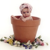 Flowerpot Baby.jpg
