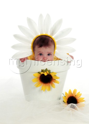 Sunflower Baby Potjpg