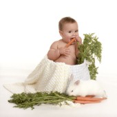 Bunny Likes Carrots.jpg