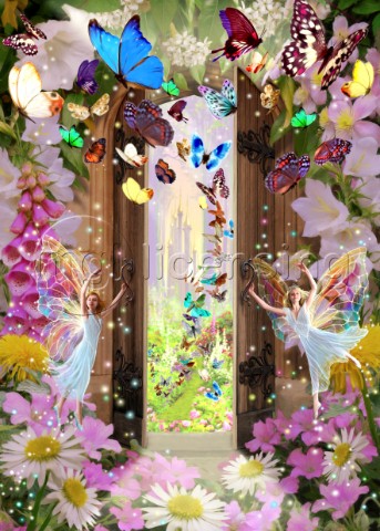 Fairy door