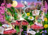 Enchanting Fairy Story