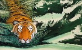 Tiger waters
