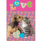 Puppy & kitten love