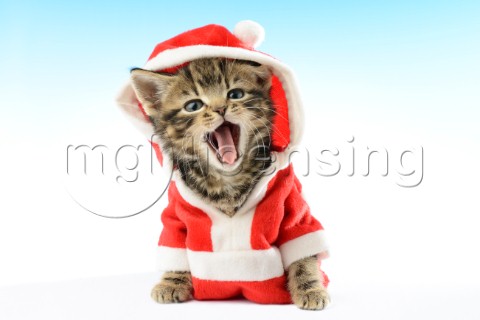 Santa Kitten Yawns C605A