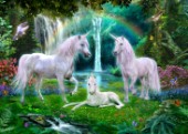 Rainbow Unicorn Family