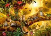 Jungle Jaguars
