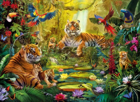 Tiger Family in the Jungle