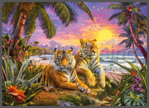 Tropical Sunset Tigers