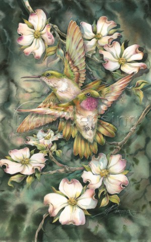 Hummingbirds and flowers 799