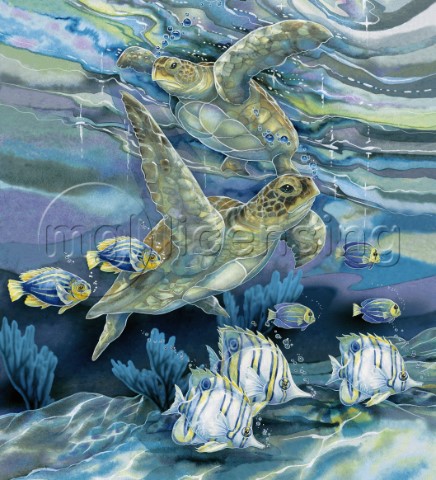 Sea Turtle Dance