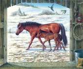 Foal - horse and foal