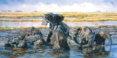Elephants in the mud
