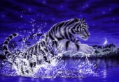 Power of life - white tiger