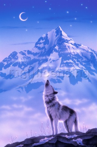 Song of Alaska  wolf