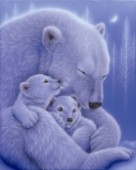 Cuddle-White Bear