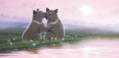 Love-Bears Cub