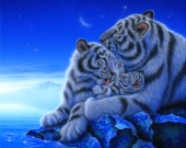 Treasure - White Tiger